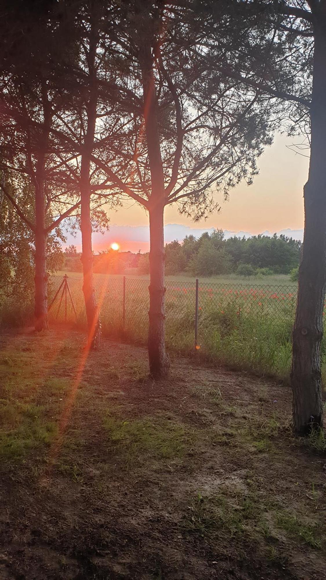 Campsite Maciejka Nad Morzem